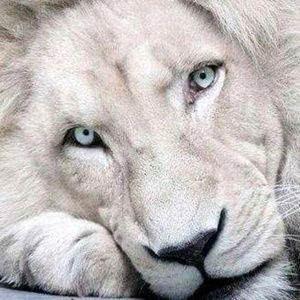 Meet your Posher, Edgar